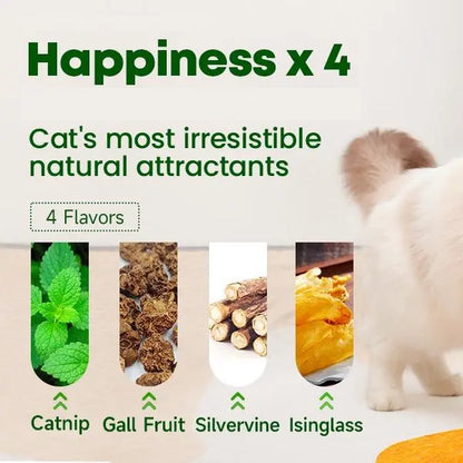 Catnip Balls for Cats - 4 Pack Edible Silvervine Toys for Dental Health and Energy (Green)