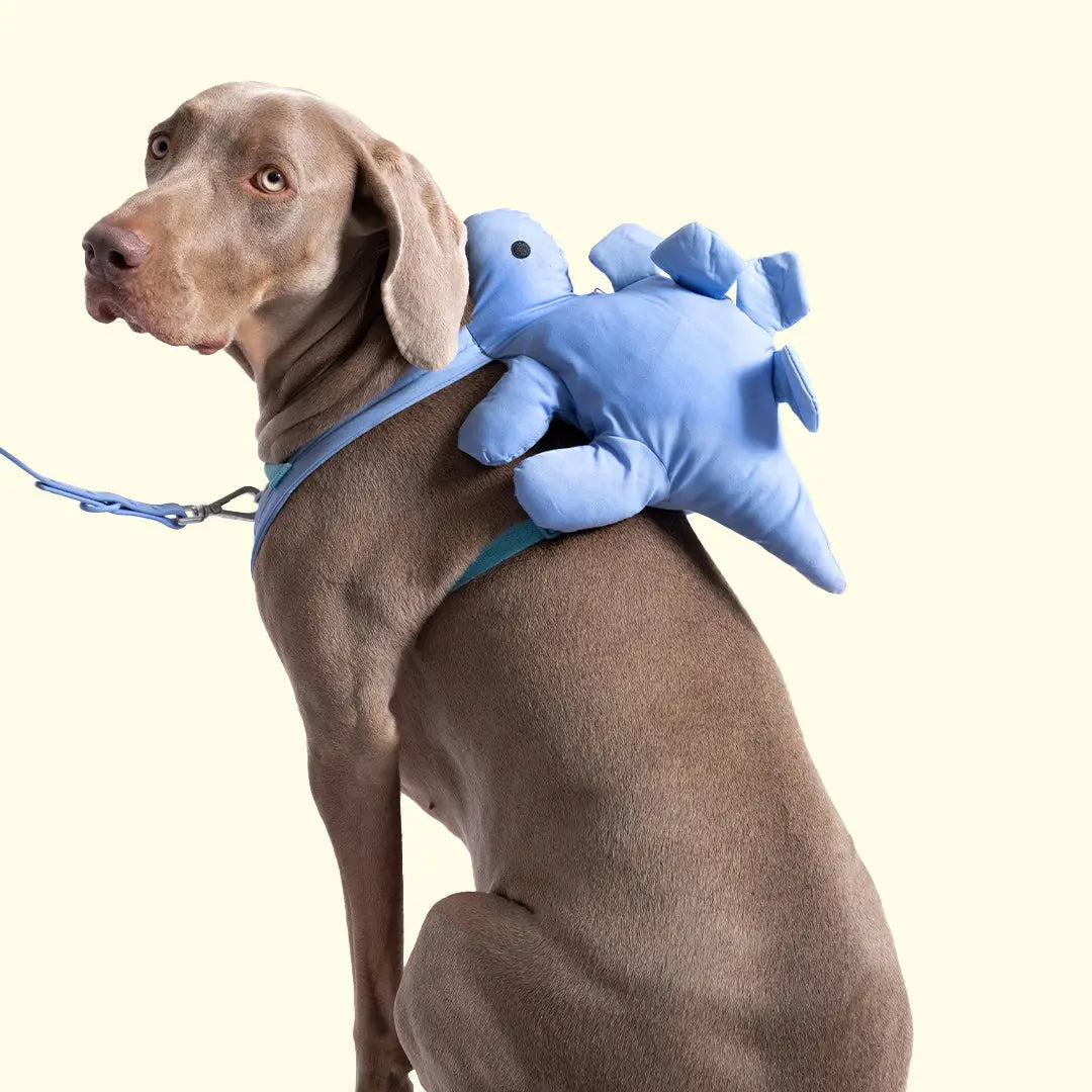 Dino Pac Compact Dog Harness and Backpack
