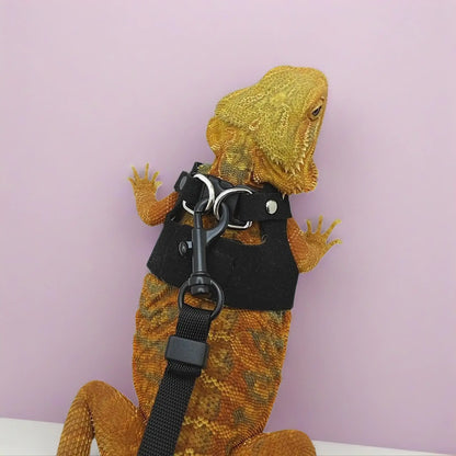 Reptile Harness and Leash Set - Adjustable Microfiber Suede Leather, Available in Three Sizes, No-Pull Full Protection Design for Bearded Dragon Training