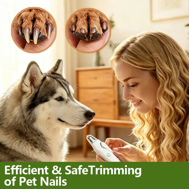 2-in-1 LED Stainless Steel Dog Nail Clipper and Grinder Combo - Safe ABS Universal Pet Grooming Tool with Quiet Low-Vibration, Sharp Blades, USB Rechargeable Paw Trimmer and Polisher for Dogs and Cats Home Use