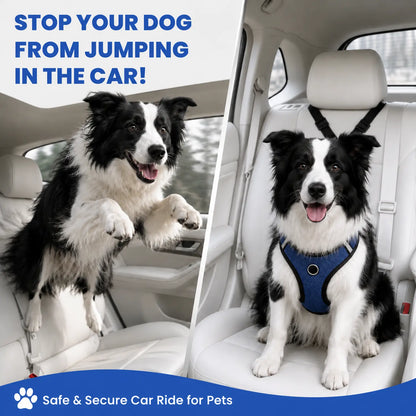 2-Pack Adjustable Dog Car Safety Seat Belt with Cute Leash