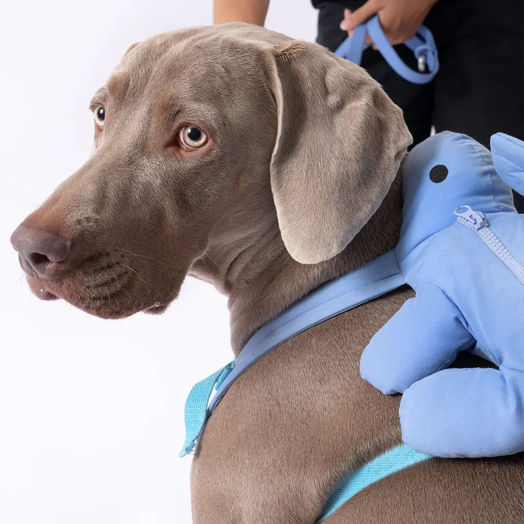 Dino Pac Compact Dog Harness and Backpack